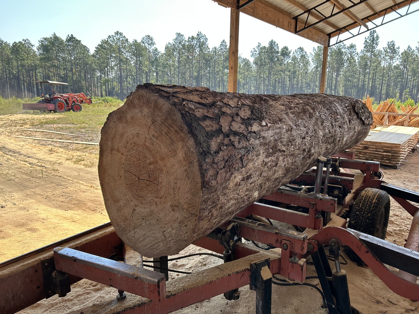 Large log on sawmill ready for cutting